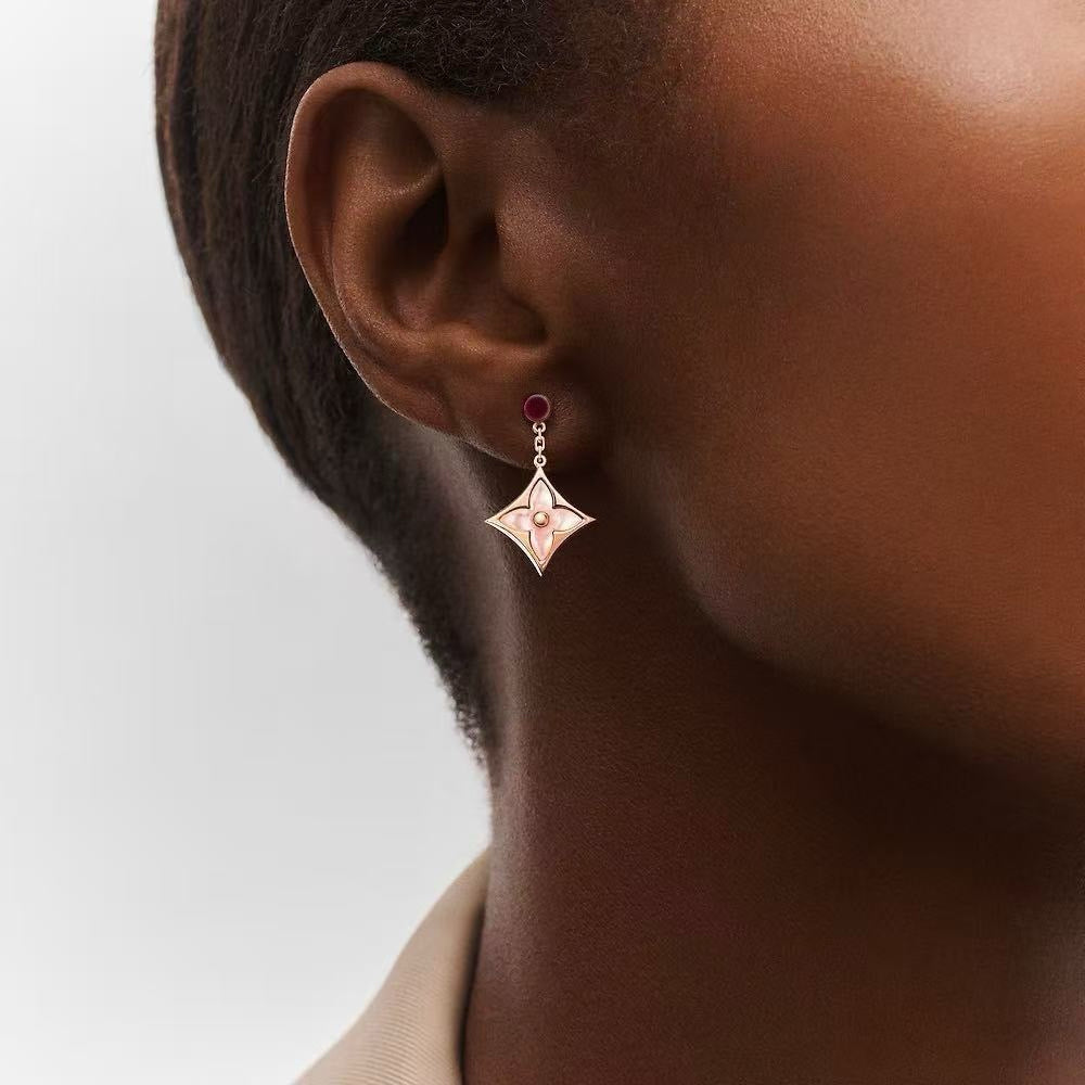 Women's Fashionable Drop Earrings